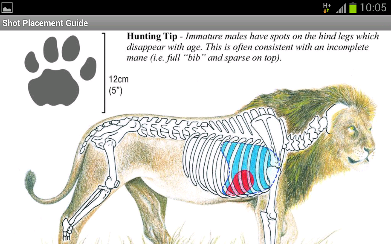 African Hunter Shot Placement Guide for Android devices