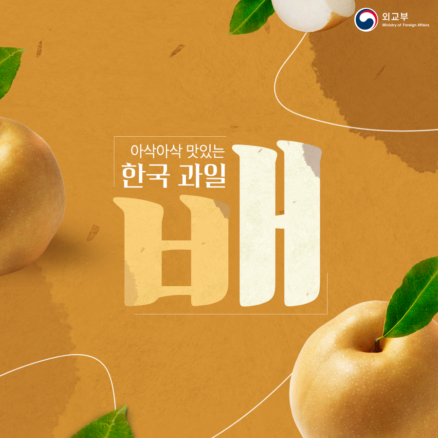 가을 제철 한국 과일 배 - 주 바레인 대한민국 대사관 Korean Embassy in Bahrain