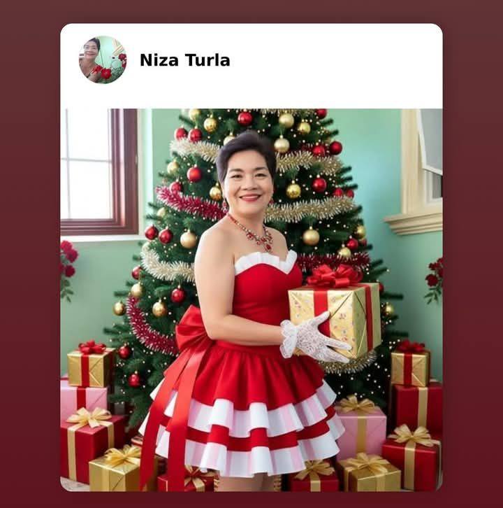 Niza Turla