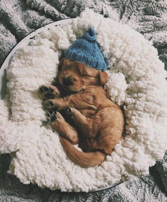 JustFab - My Sunday plan: I'll sleep until I'm hungry and...