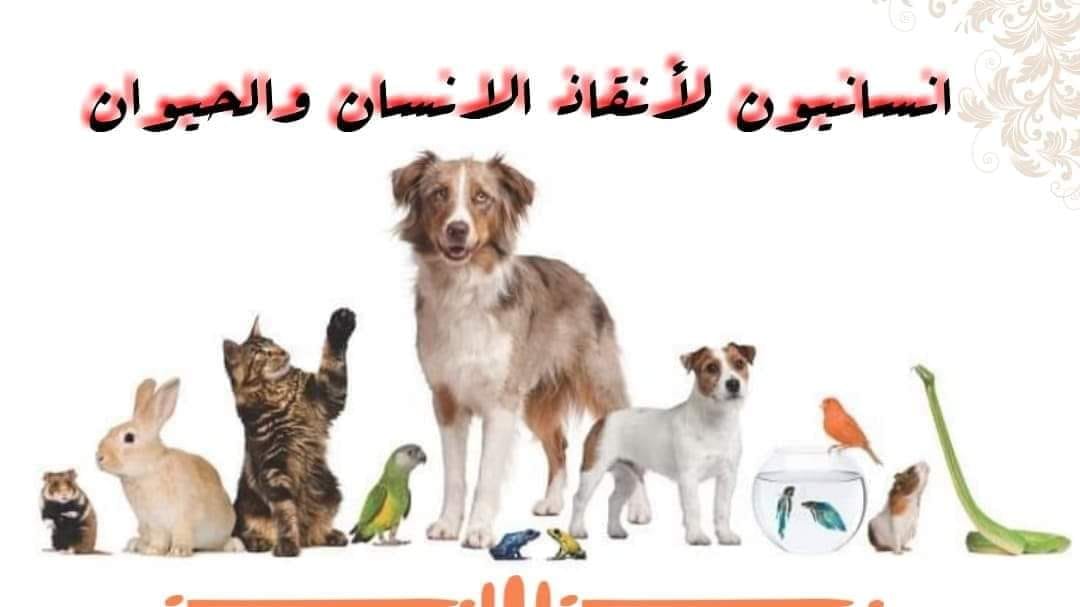 انسانيون لأنقاذ الحيوانات | Facebook