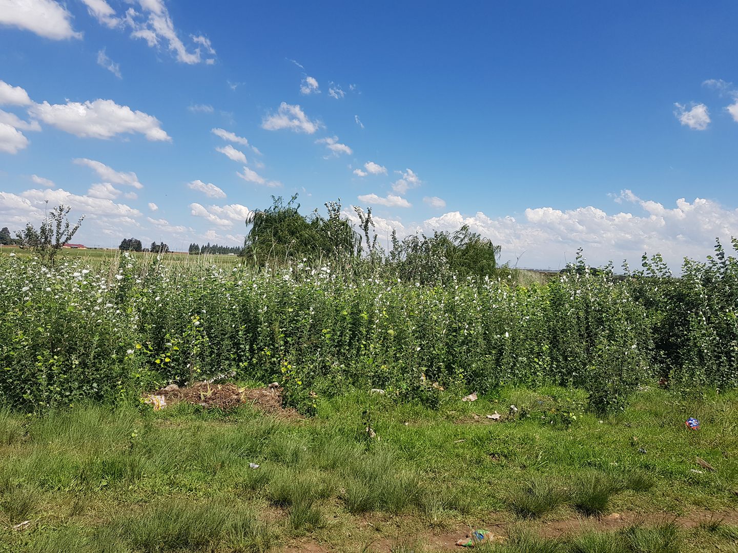 Mdala Environmental Centre