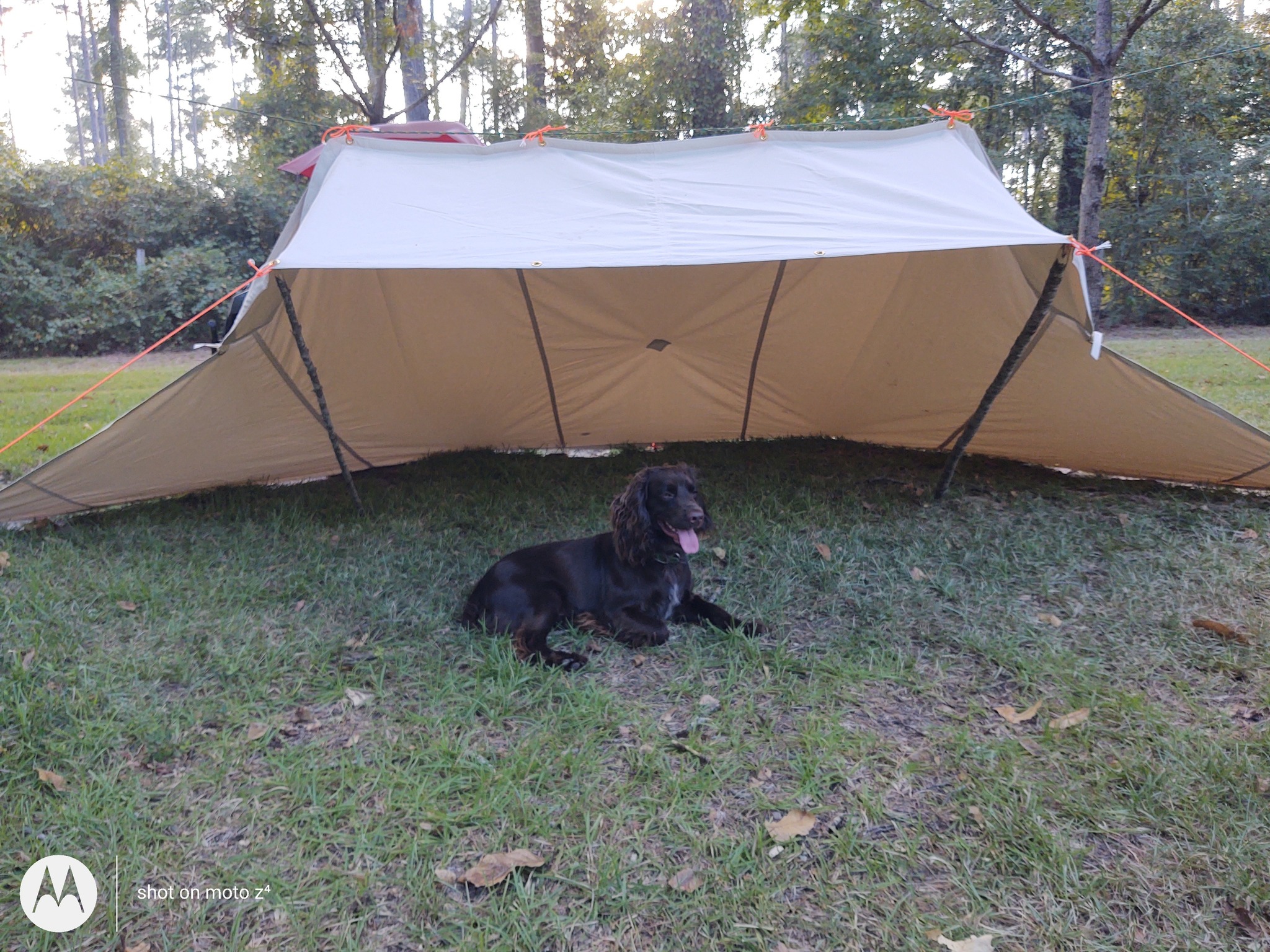 zelten nehmten TOMOUNT Glockenzelt 3m Glamping Zelt für 3-4 Personen Baumwolle Familienzelt Campingzelt Tipi Zelt Teepee Pyramidenzelt für Gruppen Familien Outdoor Camping Feste Sport & Freizeit 12Ah Universelle Größe:Erwachsene SRAM Force AXS HRD