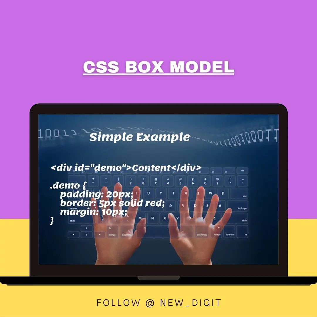 New Digit - CSS Box Model #css #cssbox #cssboxmodel...