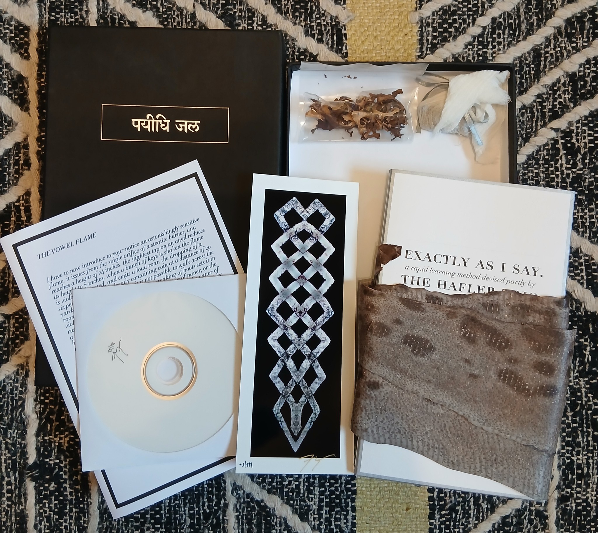 The Hafler Trio's Exactly As I Say limited edition box set