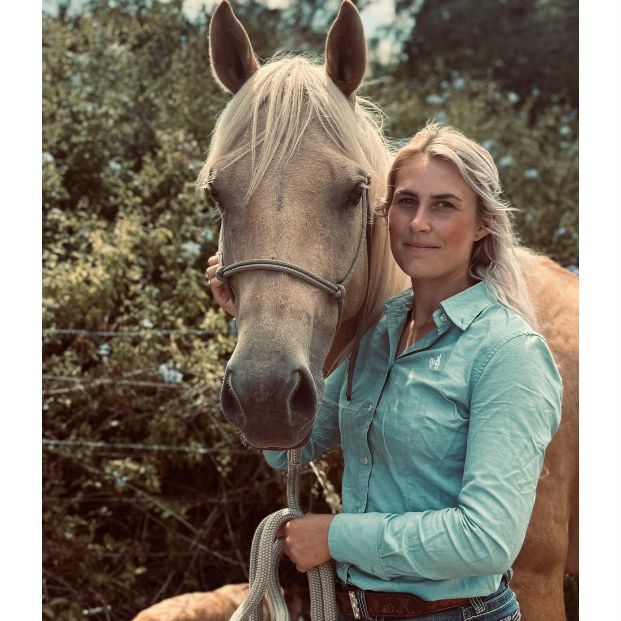 Hunter Valley Horse Riders | Looking for a swing out tack box, if ...