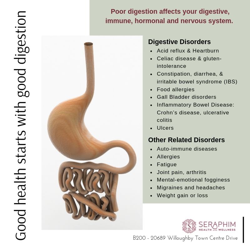 Poor digestion affects your... - Seraphim Health and Wellness | Facebook