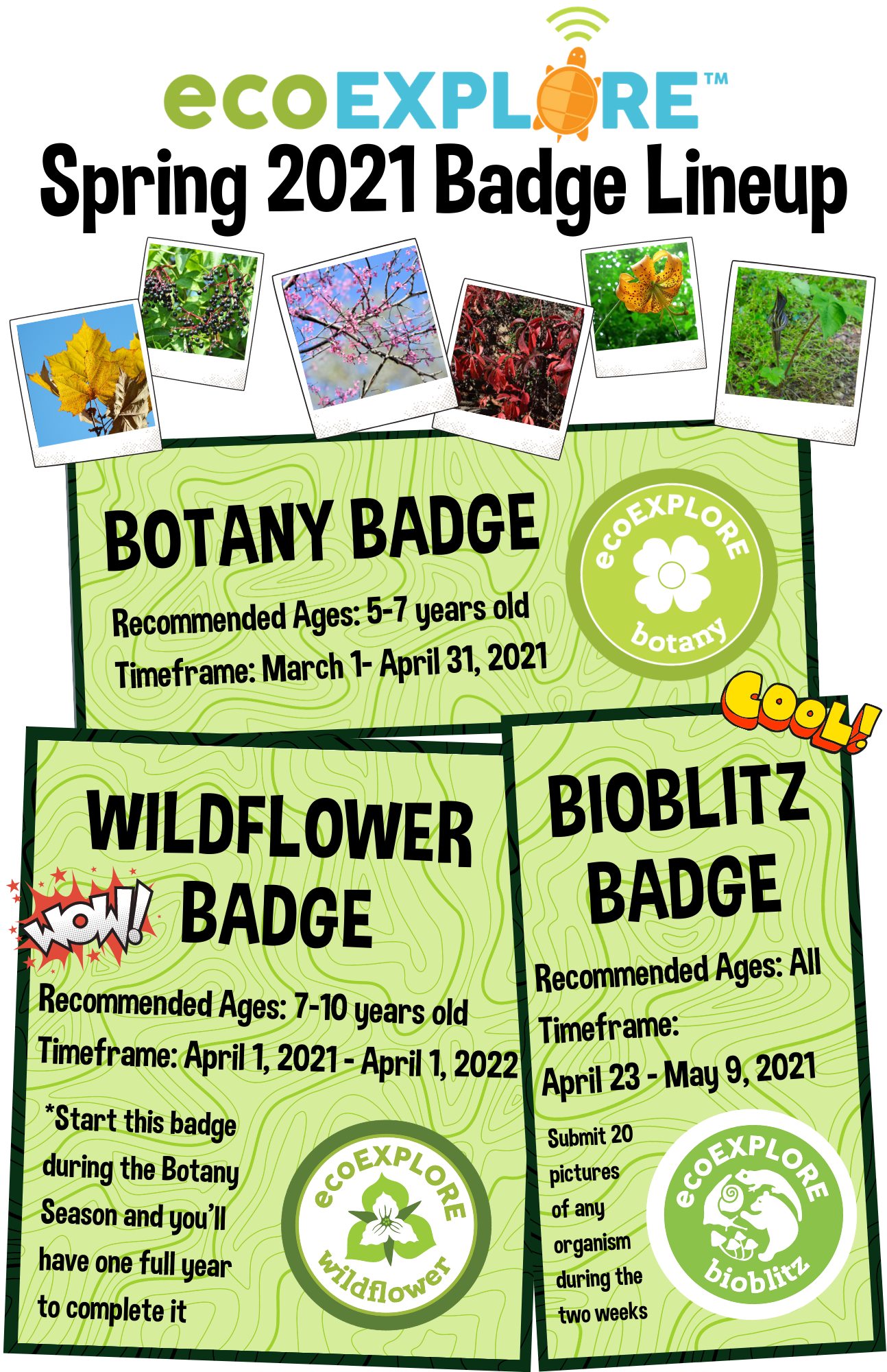 ecoEXPLORE - This week's ecoEXPLORE newsletter announced... | Facebook