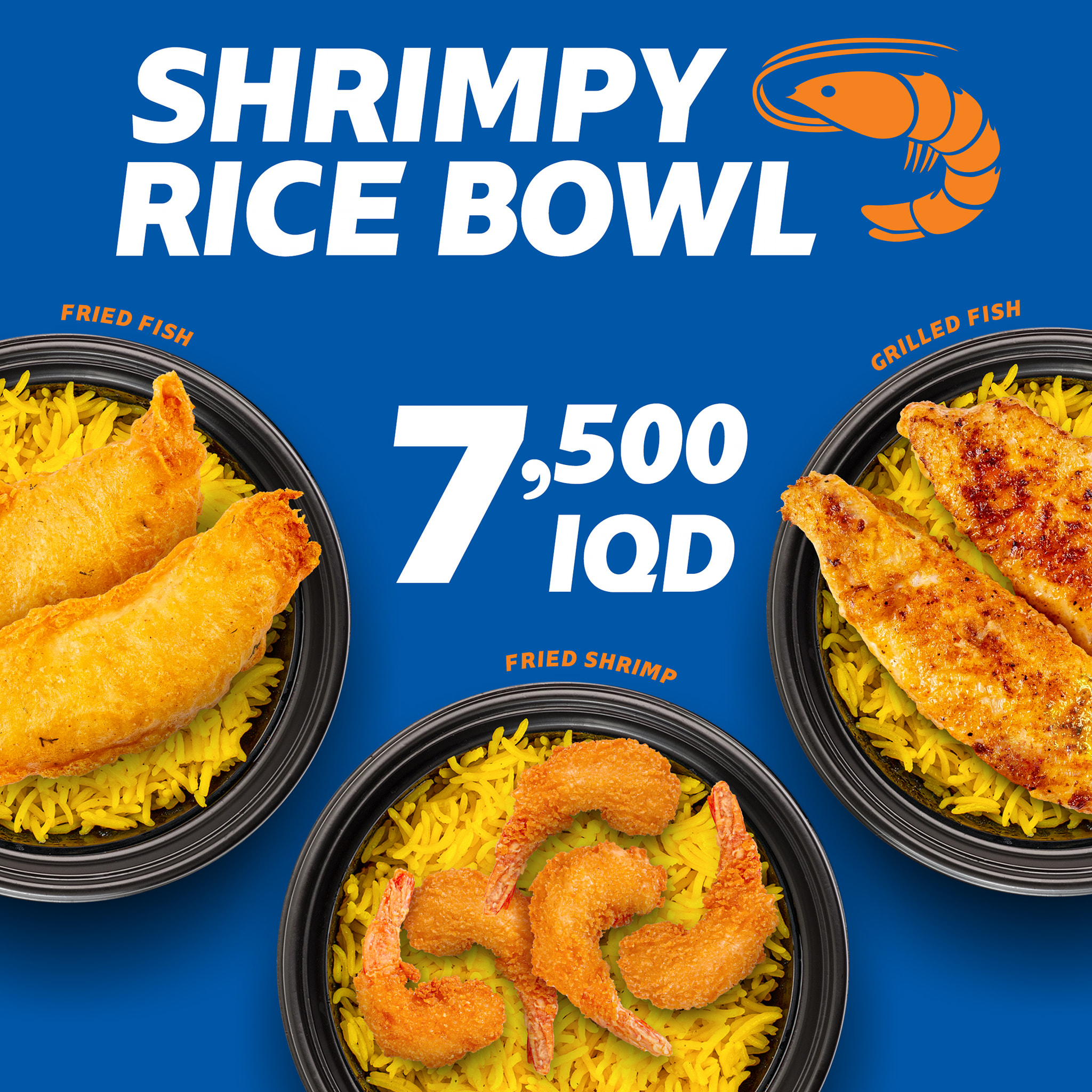 Shrimpy Iraq | Baghdad