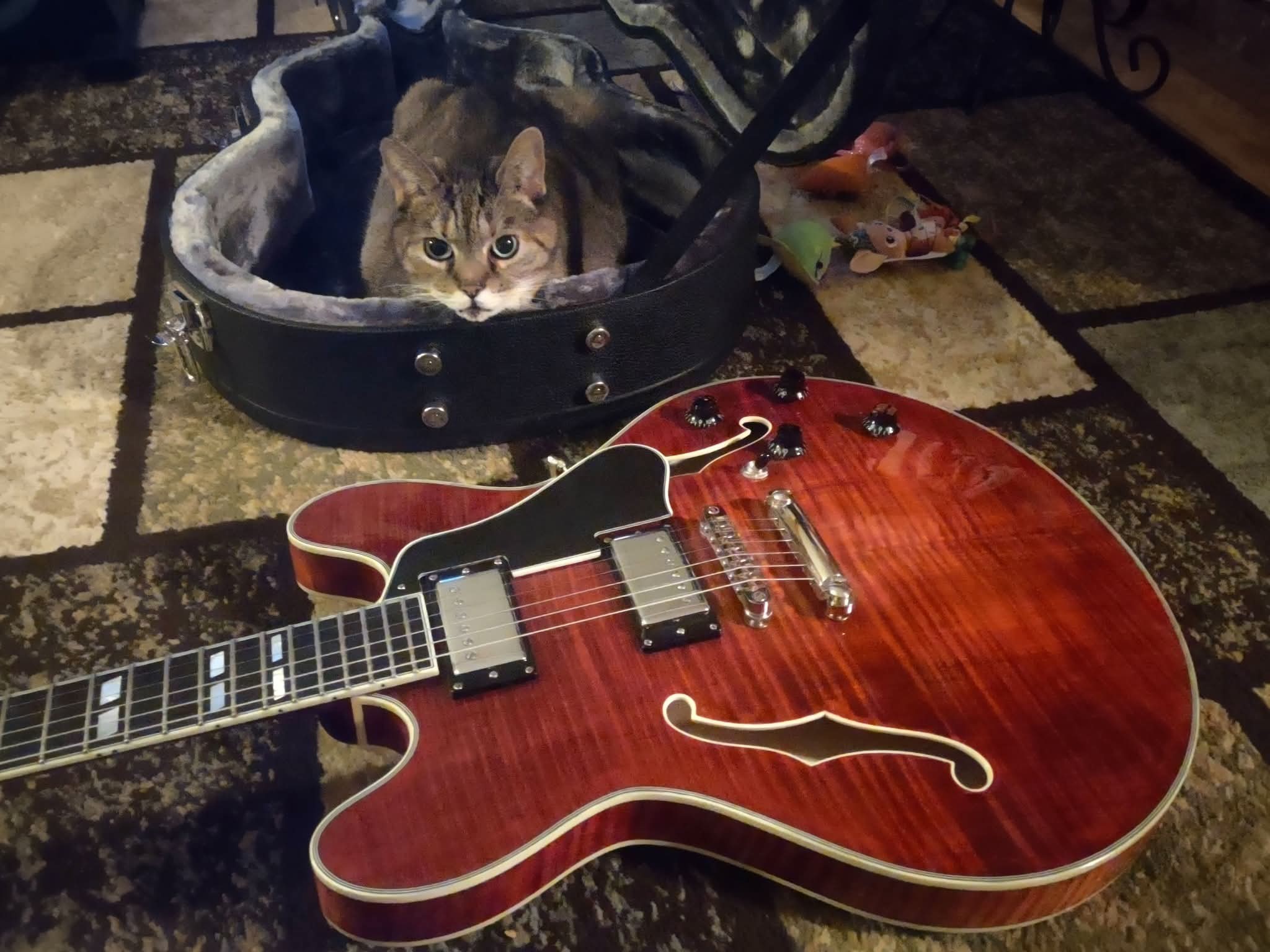 Eastman t486 guitar review and experience