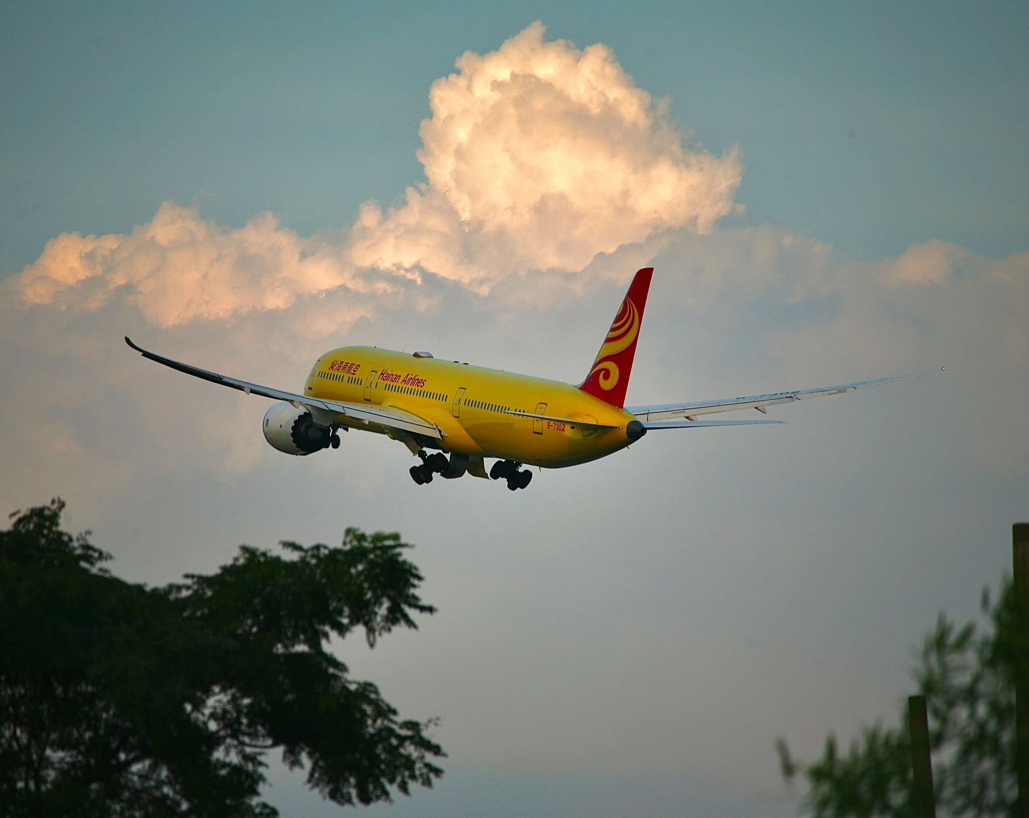 Zipair Boeing 787 dreamliner in flight | Tokyo