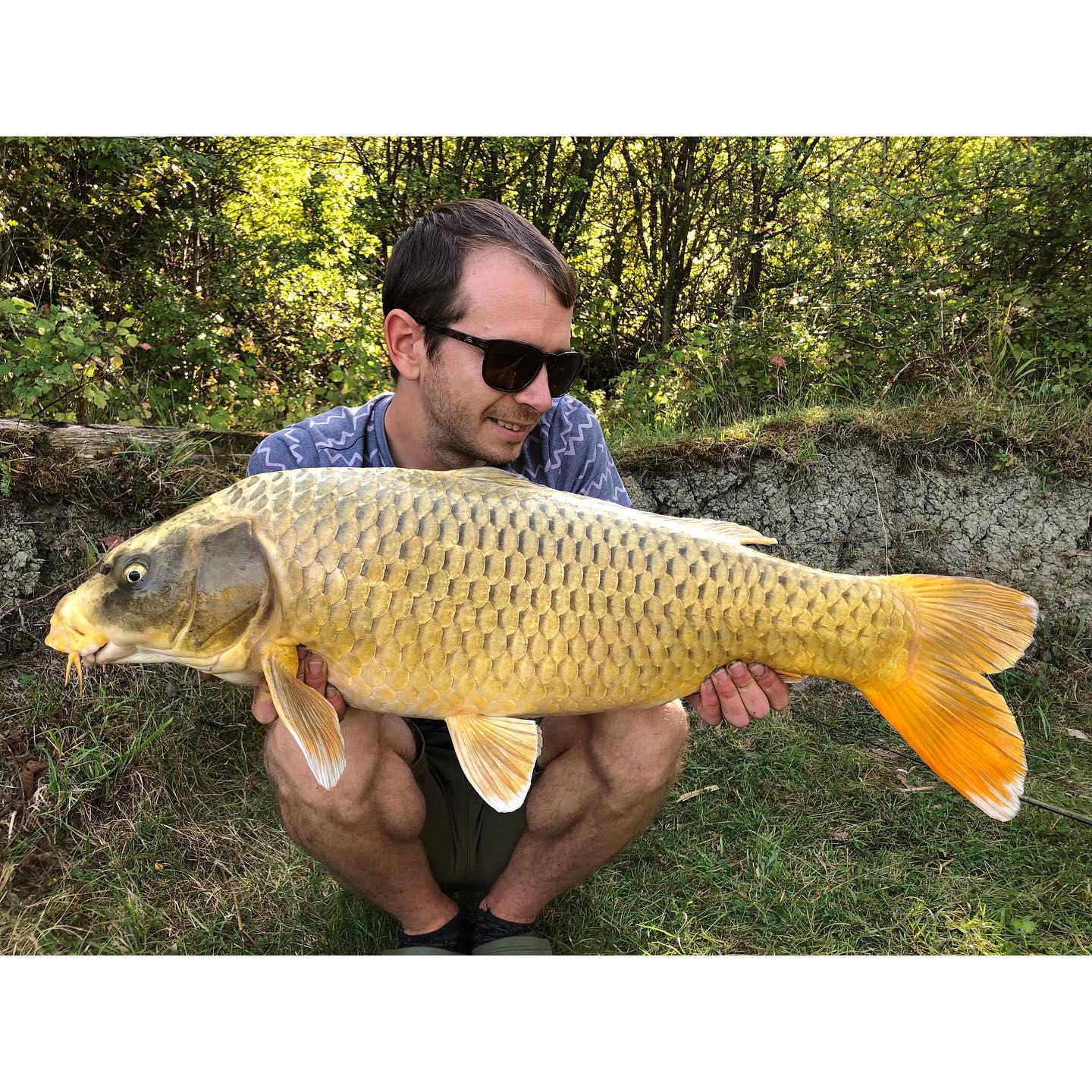 Clay pit fishery - @jackfunnell1 managed a productive days silver ...