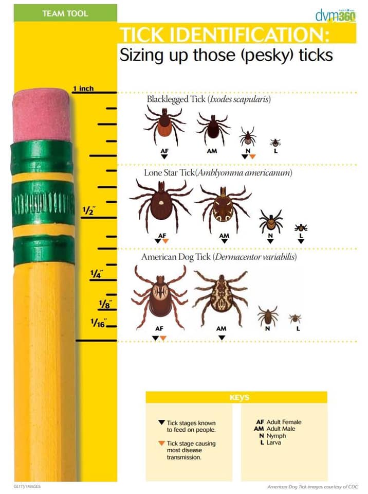 The more you know! Are your... - Animal Clinic of Rockford
