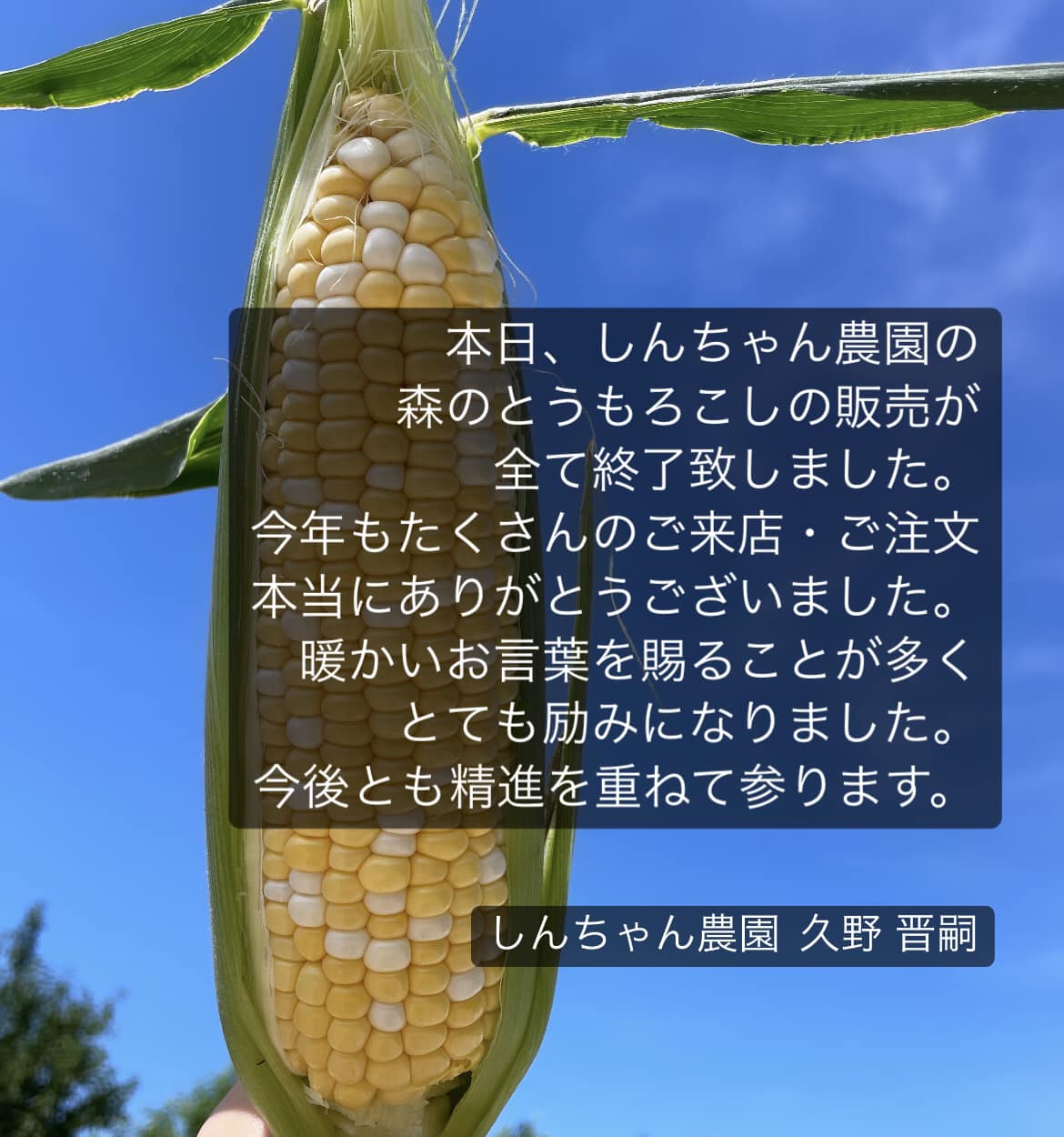 しんちゃん農園 | Mori-machi Shuchi-gun Shizuoka