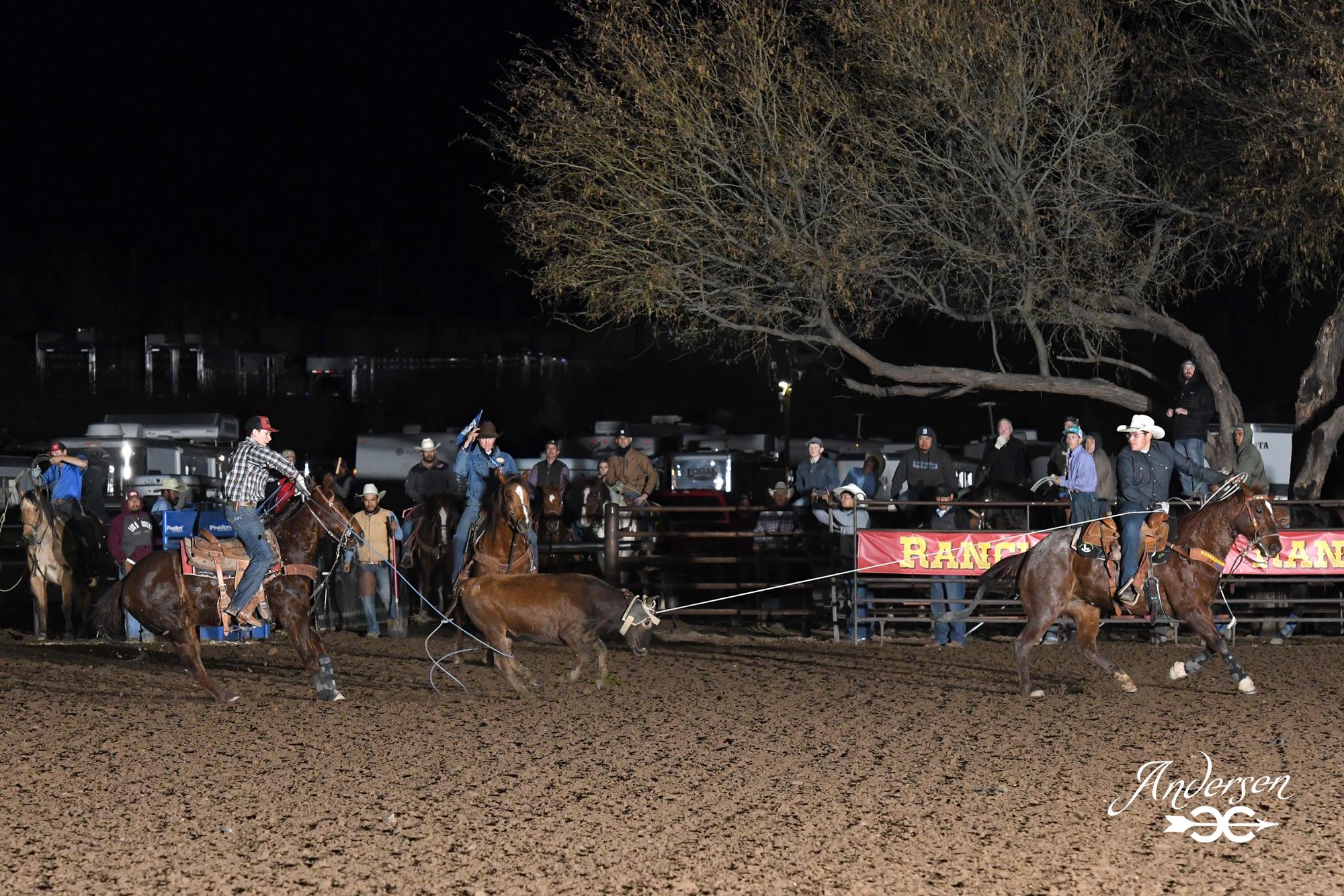 Congratulations to New Mexico's... - National Team Roping | Facebook
