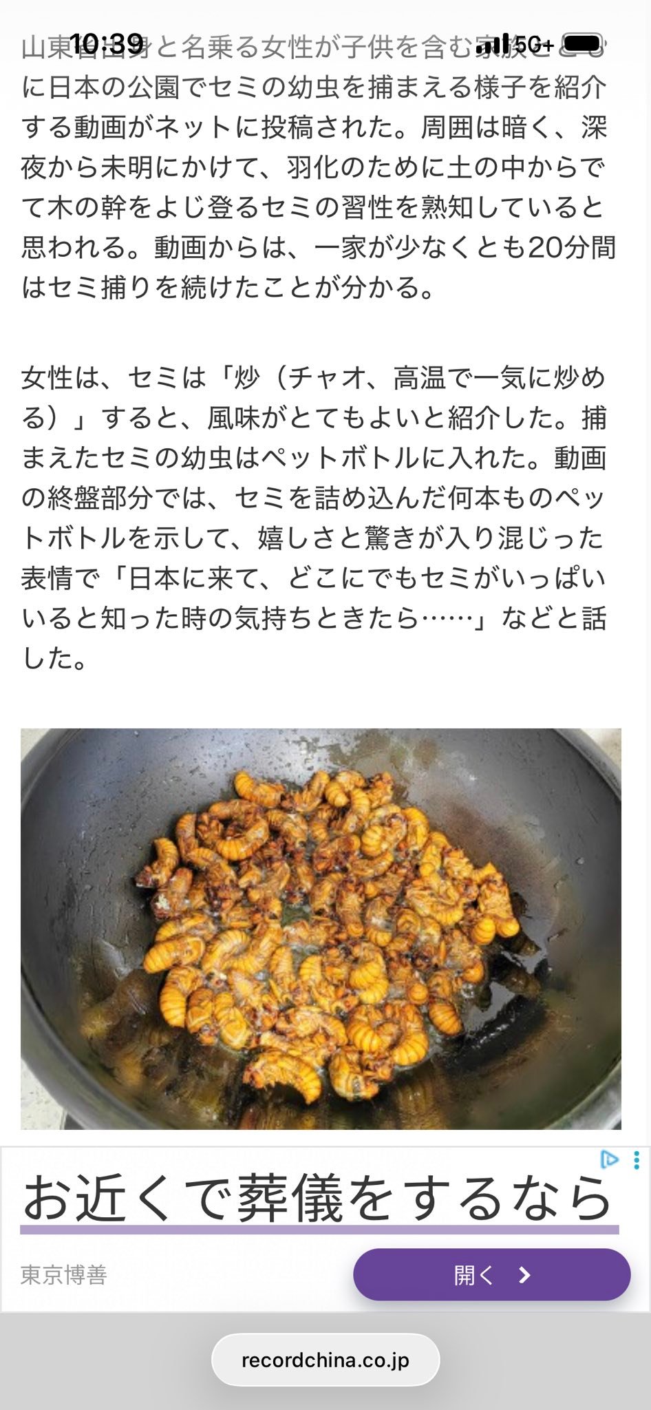セミ を 食べ ない で