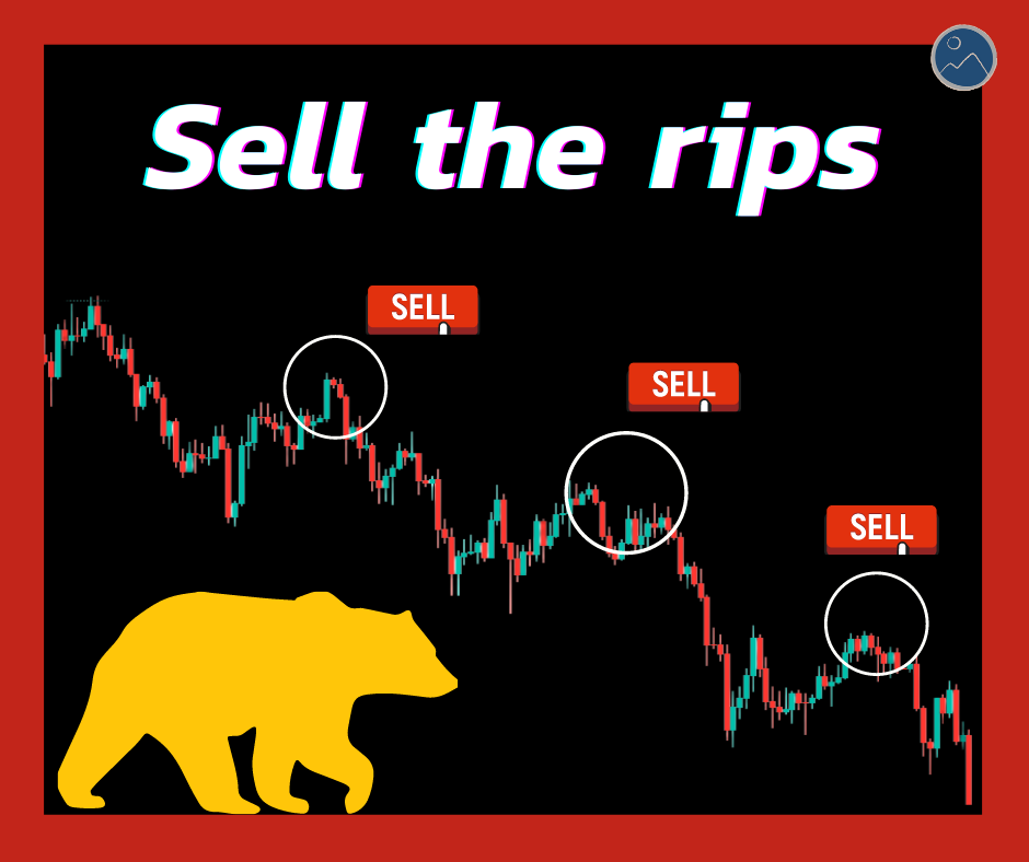 Sell the rips คือ กลยุทธ์ที่ทำการขาย... - ไดอารี่ของปลายดอย