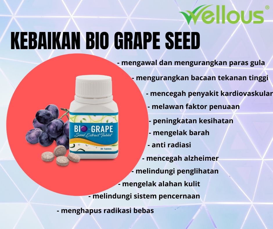 Bio Lingzhi Orinigal Msia Bio Grape Seed Adalah Produk Yang Berasaskan Ekstrak Biji Anggur Kebaikan Bio Grape Seed Mengurangkan Tahap Kolesterol Mencegah Kardiovaskular Serebrovaskular Mengurangkan Tekanan Darah Menguatkan Saluran Darah