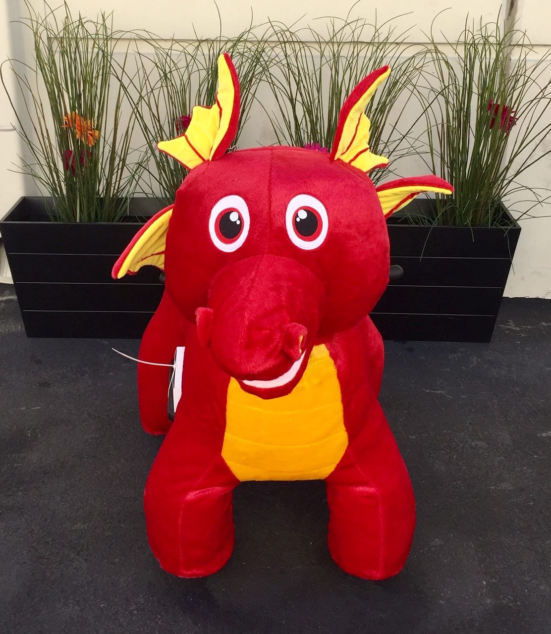 Giddy Up Rides - one of our new in demand design RED... | Facebook