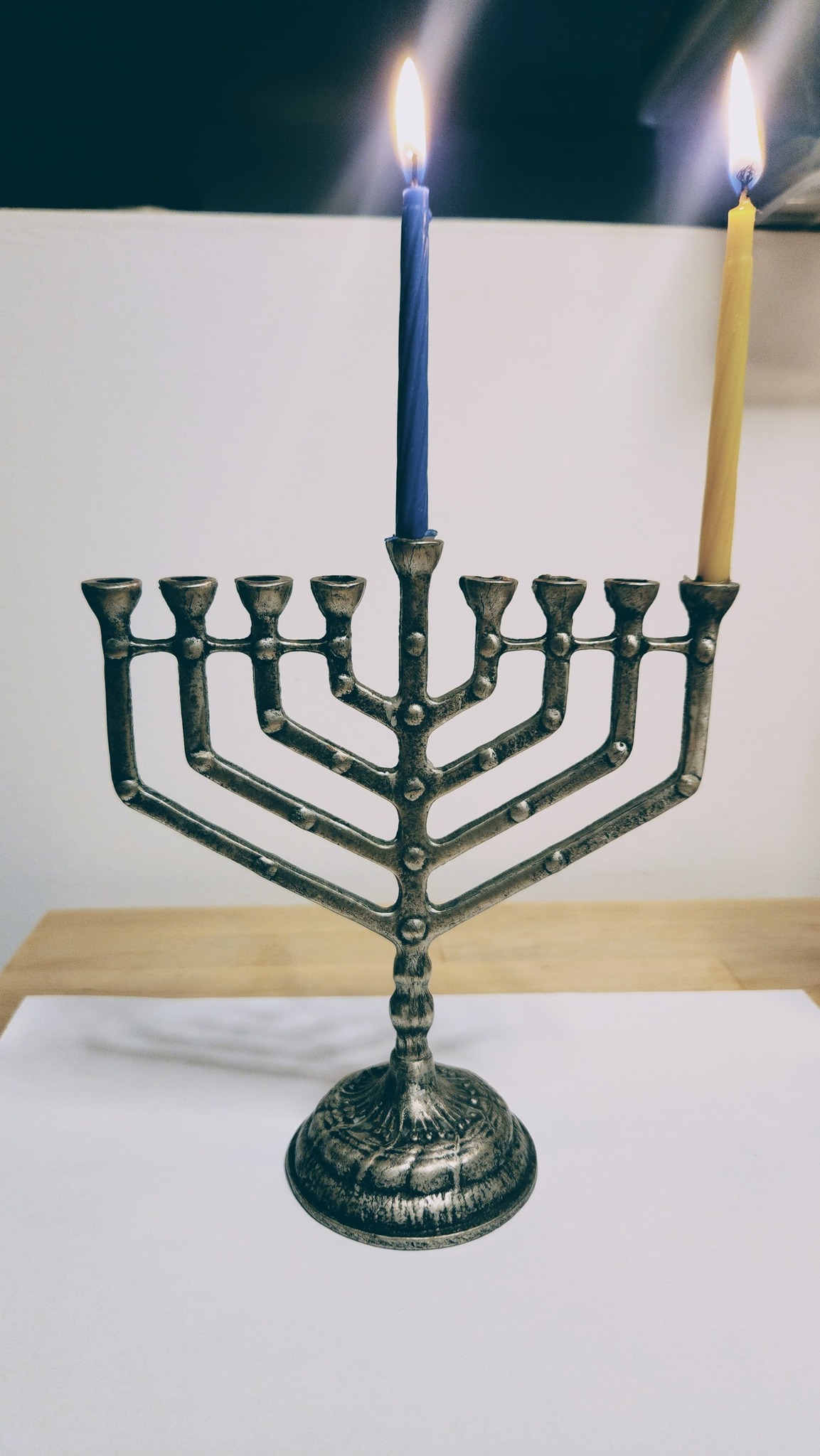 אלה לין