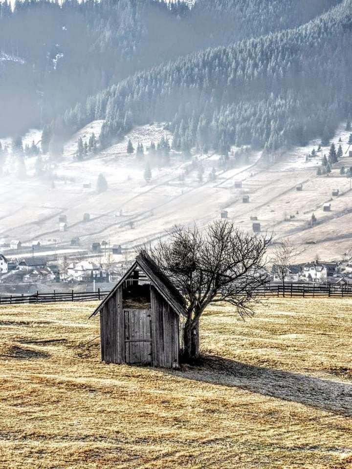 Mutulică - Mutulică added a new photo.