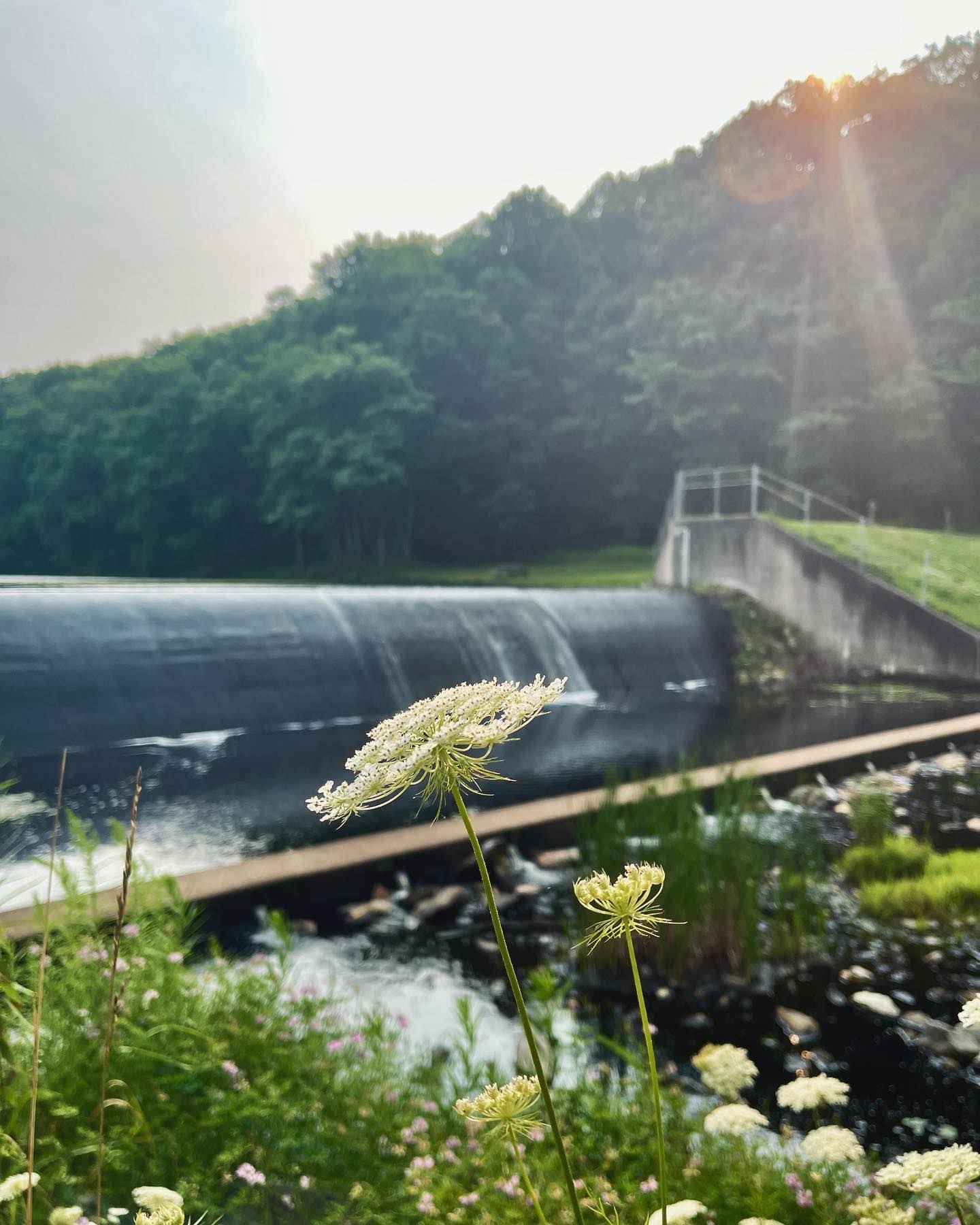 Harley Ann Photography added a... Harley Ann Photography