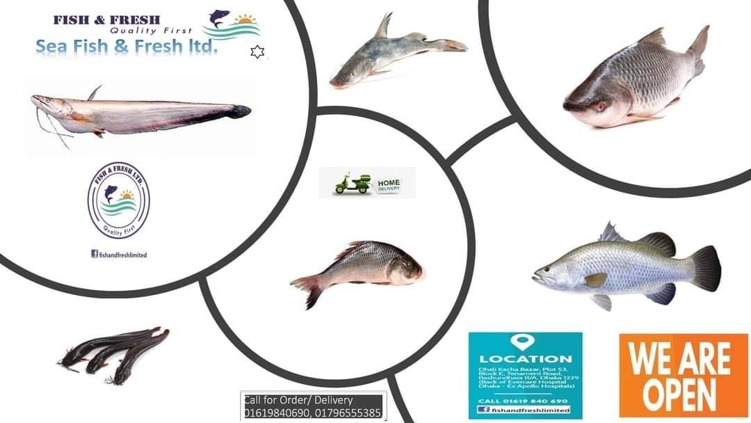 Fish & Fresh Ltd.
