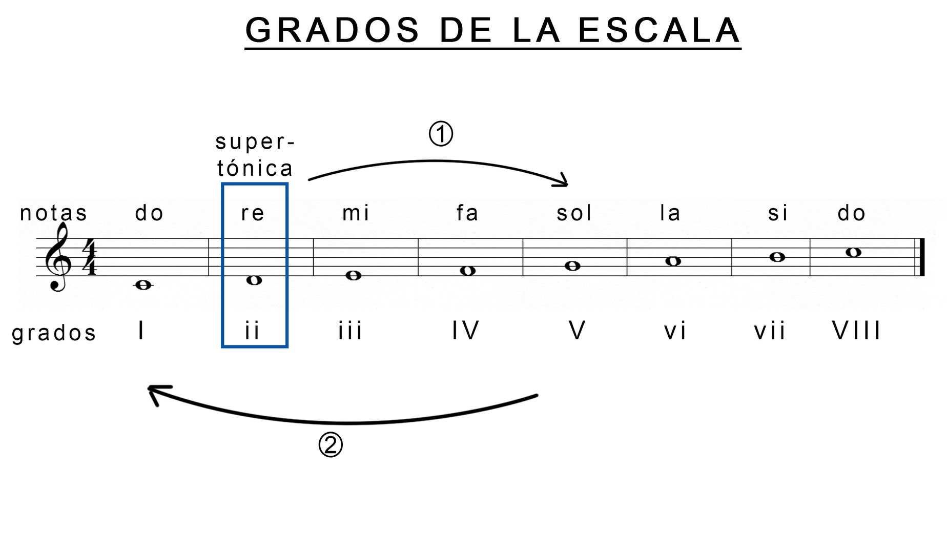 GRADOS DE LA ESCALA MUSICAL... - Bases de la Música | Facebook