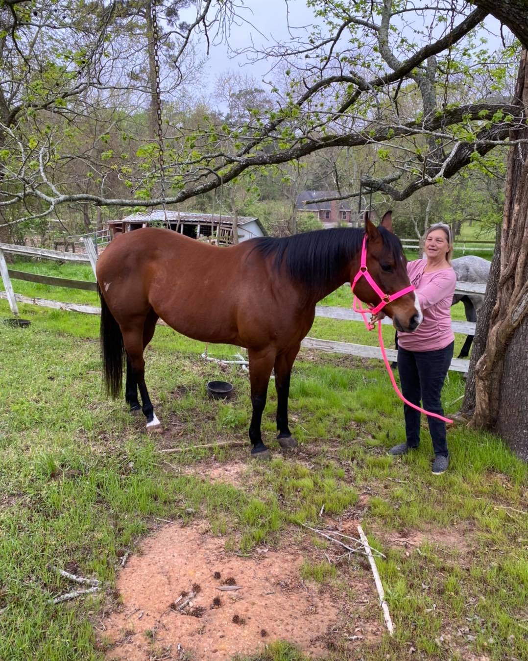 S&L Ranch