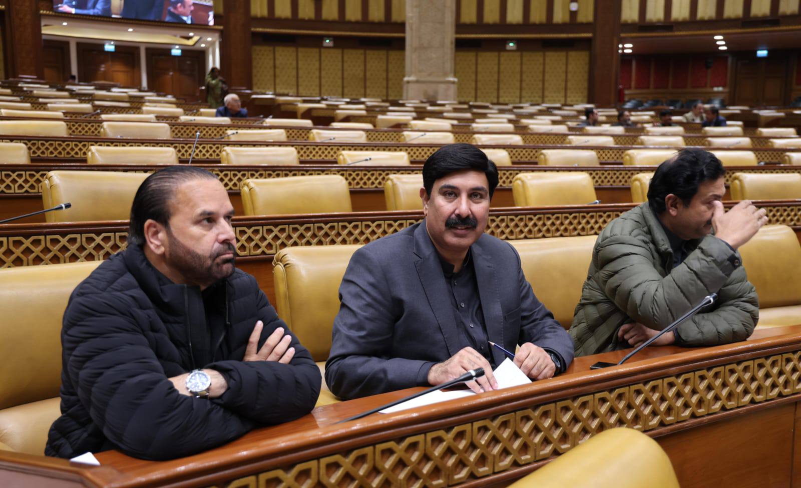 Mian Zeeshan Rafique PMLN