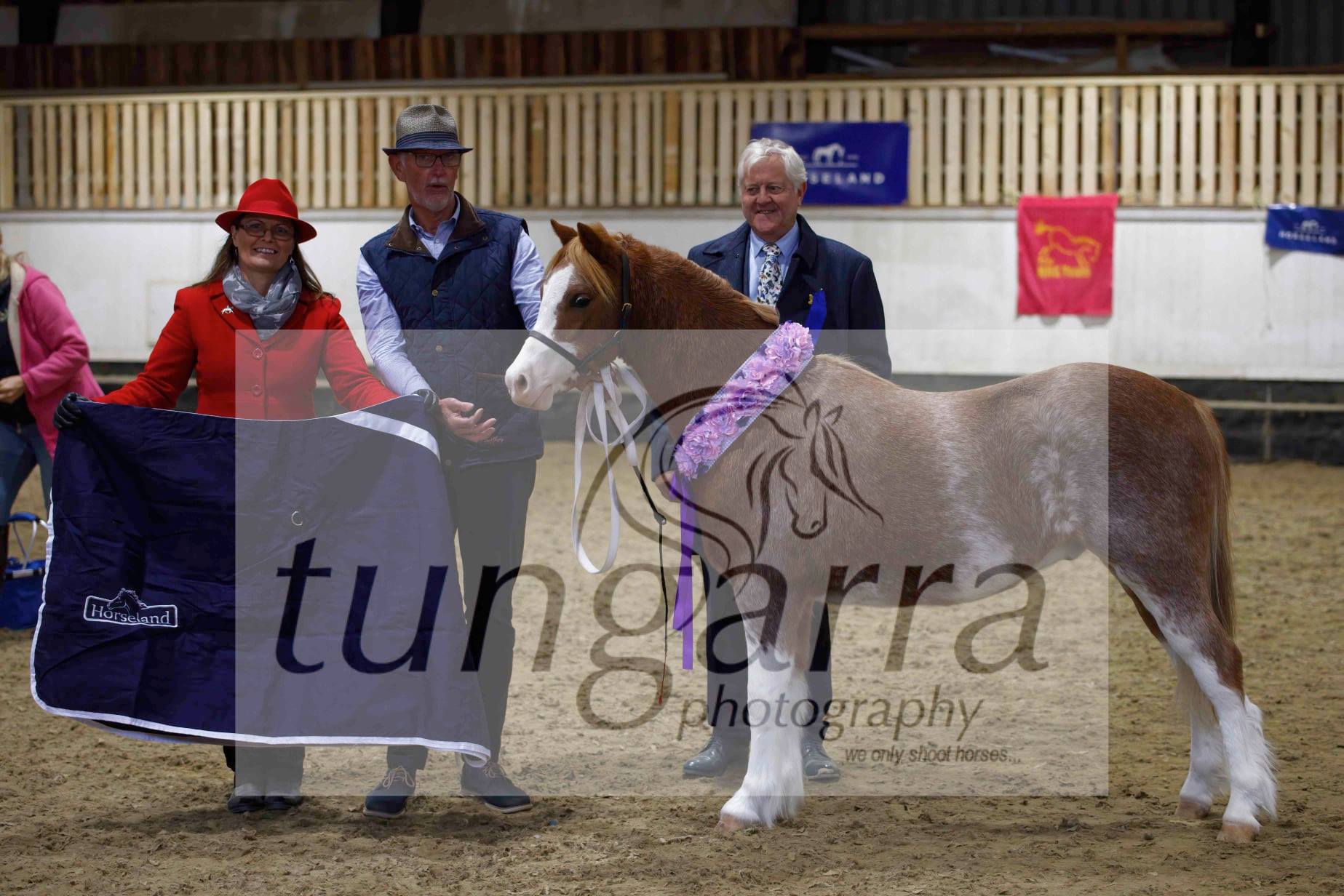 Tungarra Stud & Photography