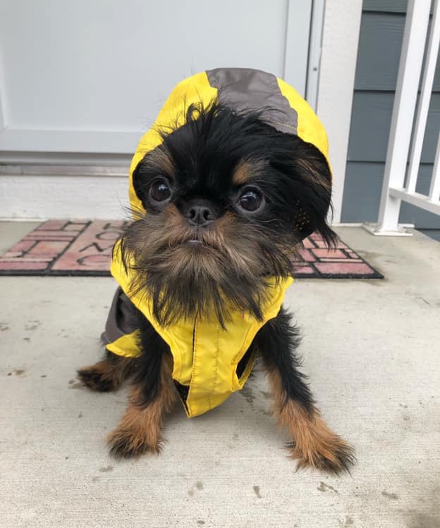 Zoey is the very image of a rain goddess, graceful and ethereal