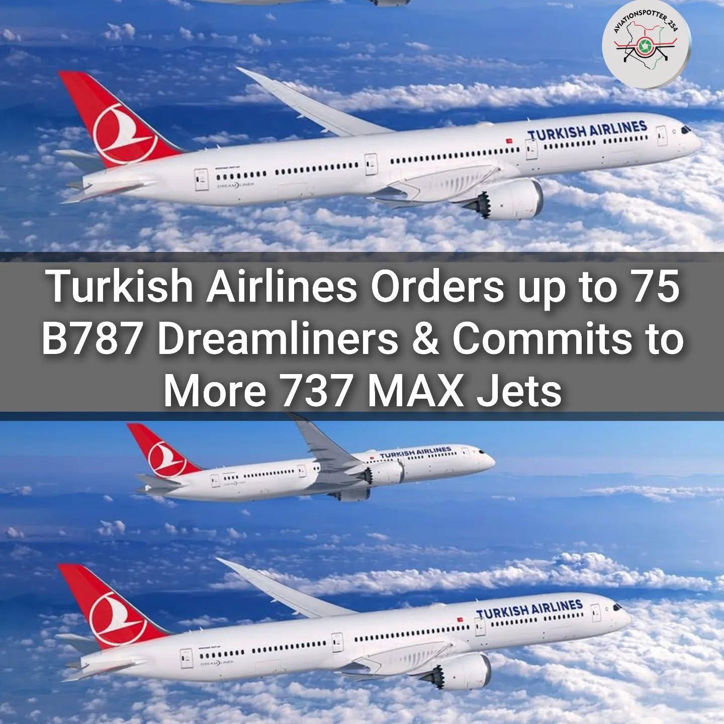 Boeing 787 Dreamliner de Turkish Airlines en el aeropuerto