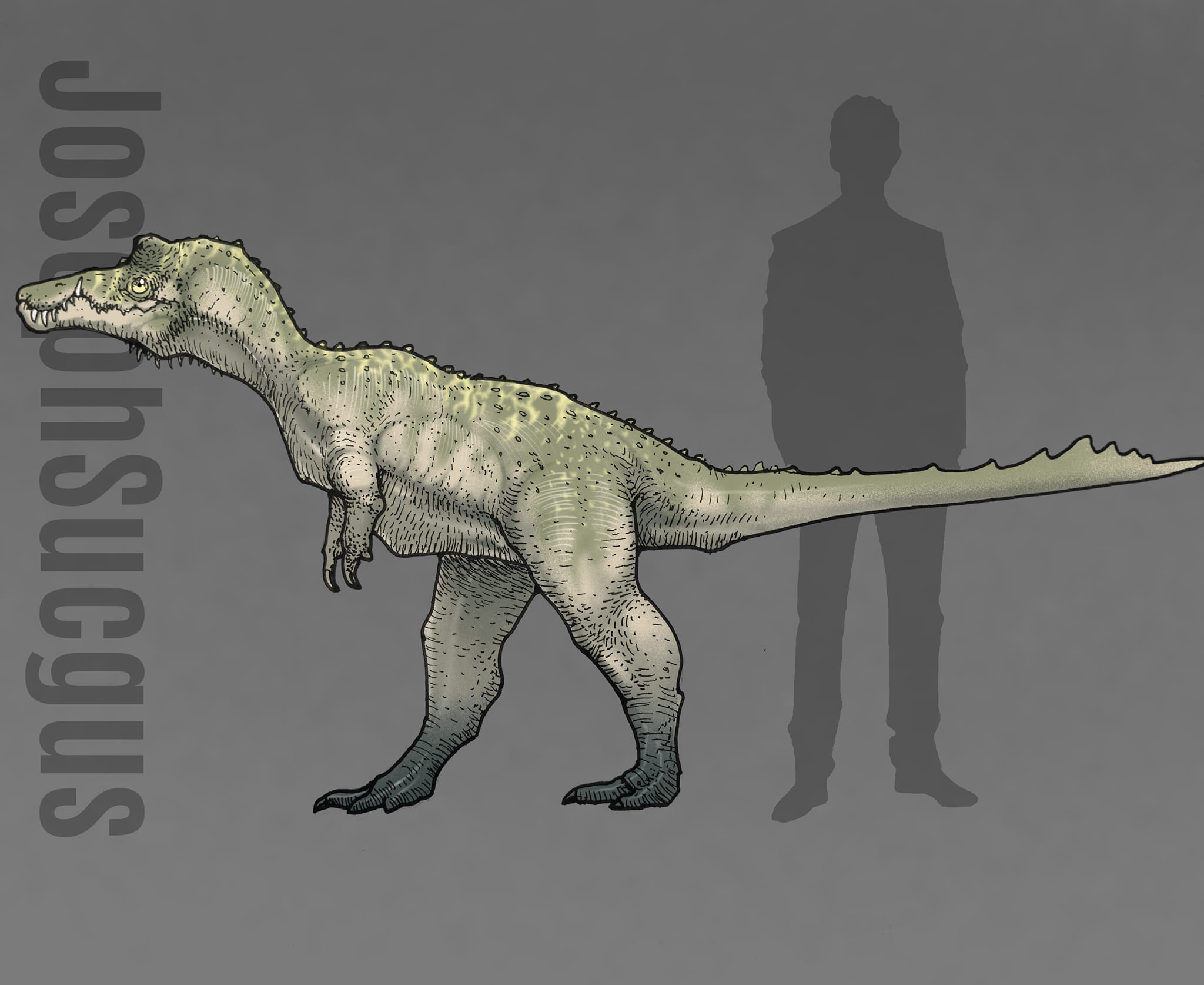 JosephSuchus