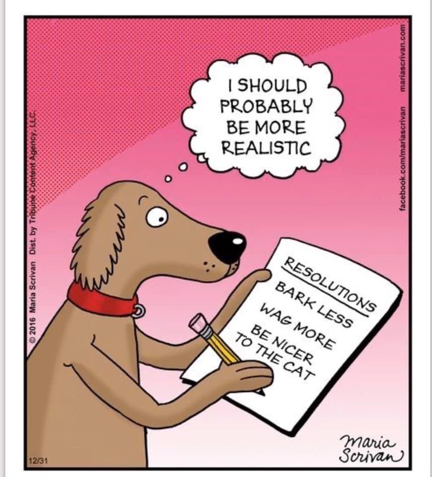 Peekskill Animal Hospital | Cortlandt Manor NY