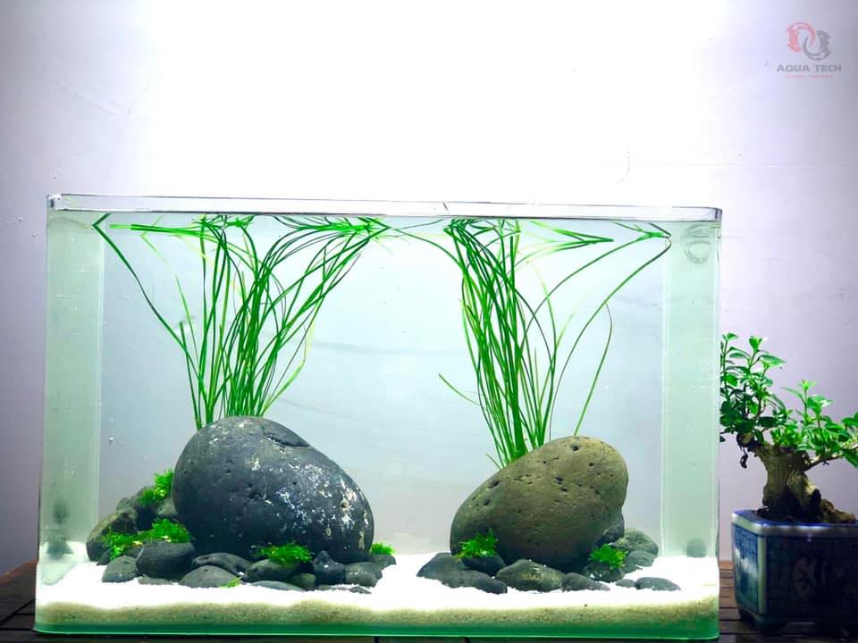 -20 lít matrix pon ai cần ib | Facebook