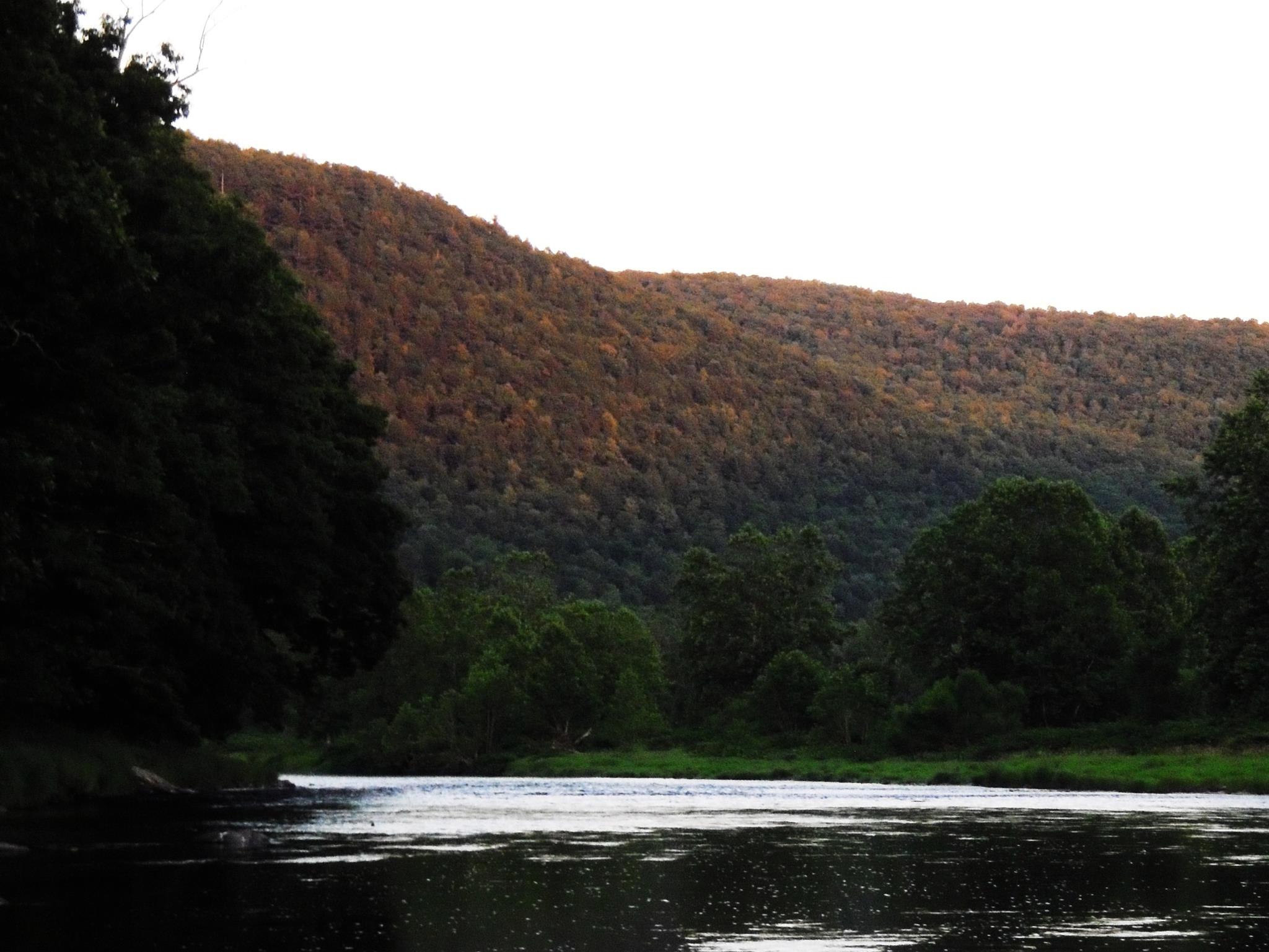 The weather has forced a... - Delaware Riverside Conservancy