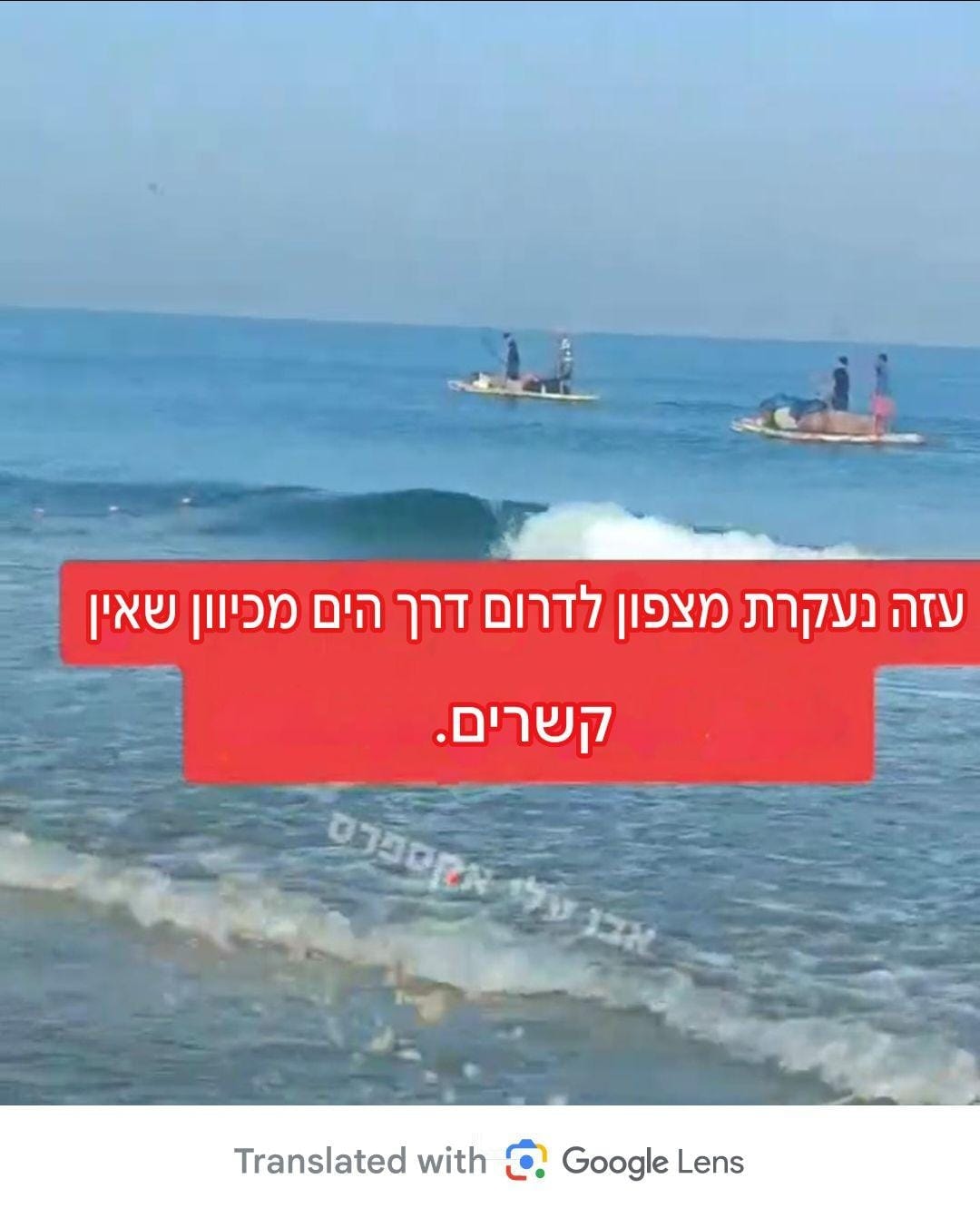 אסף פריד