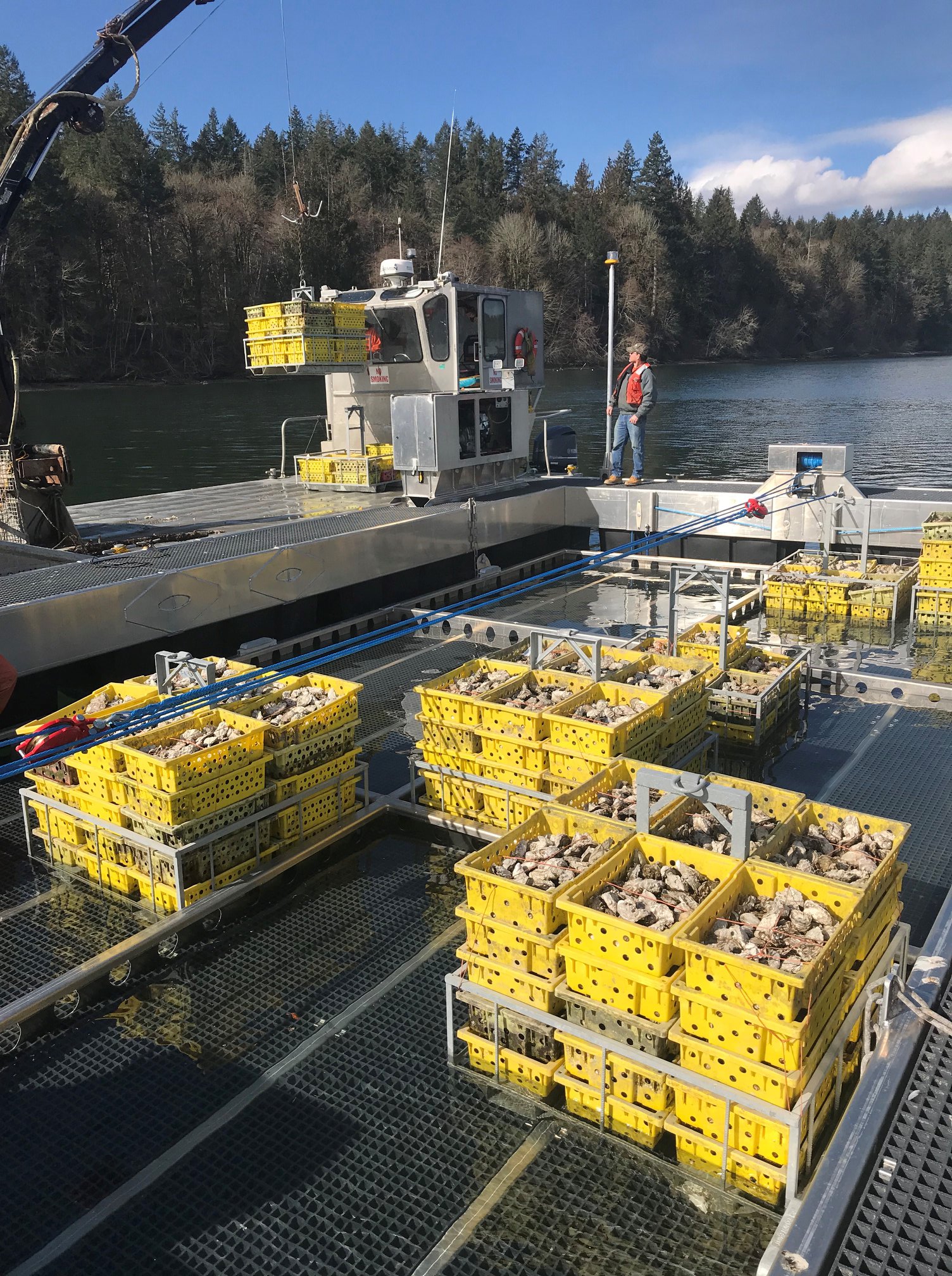 Lee Shore Boats - It is not a shellfish dock called a... | Facebook