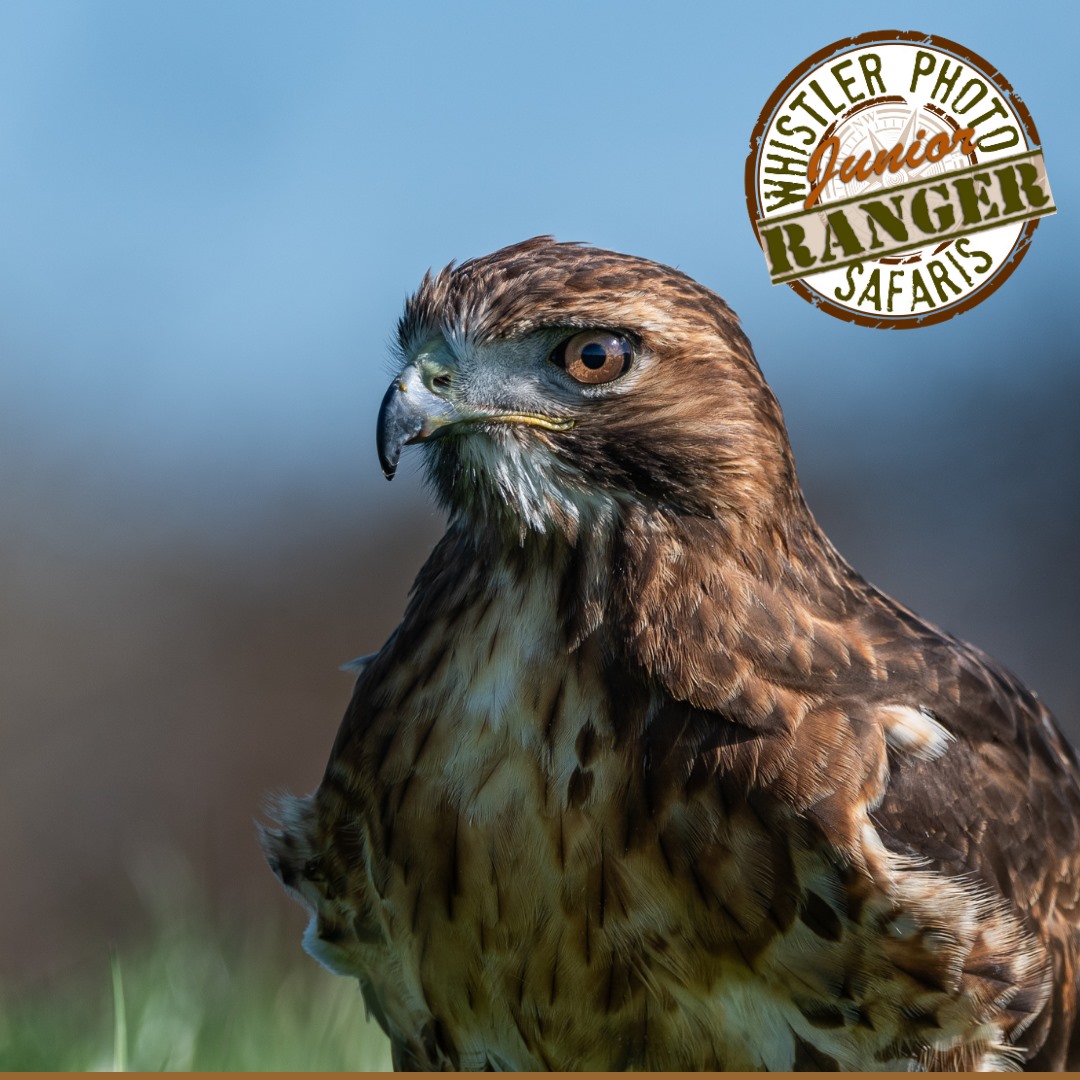 Junior Rangers Club