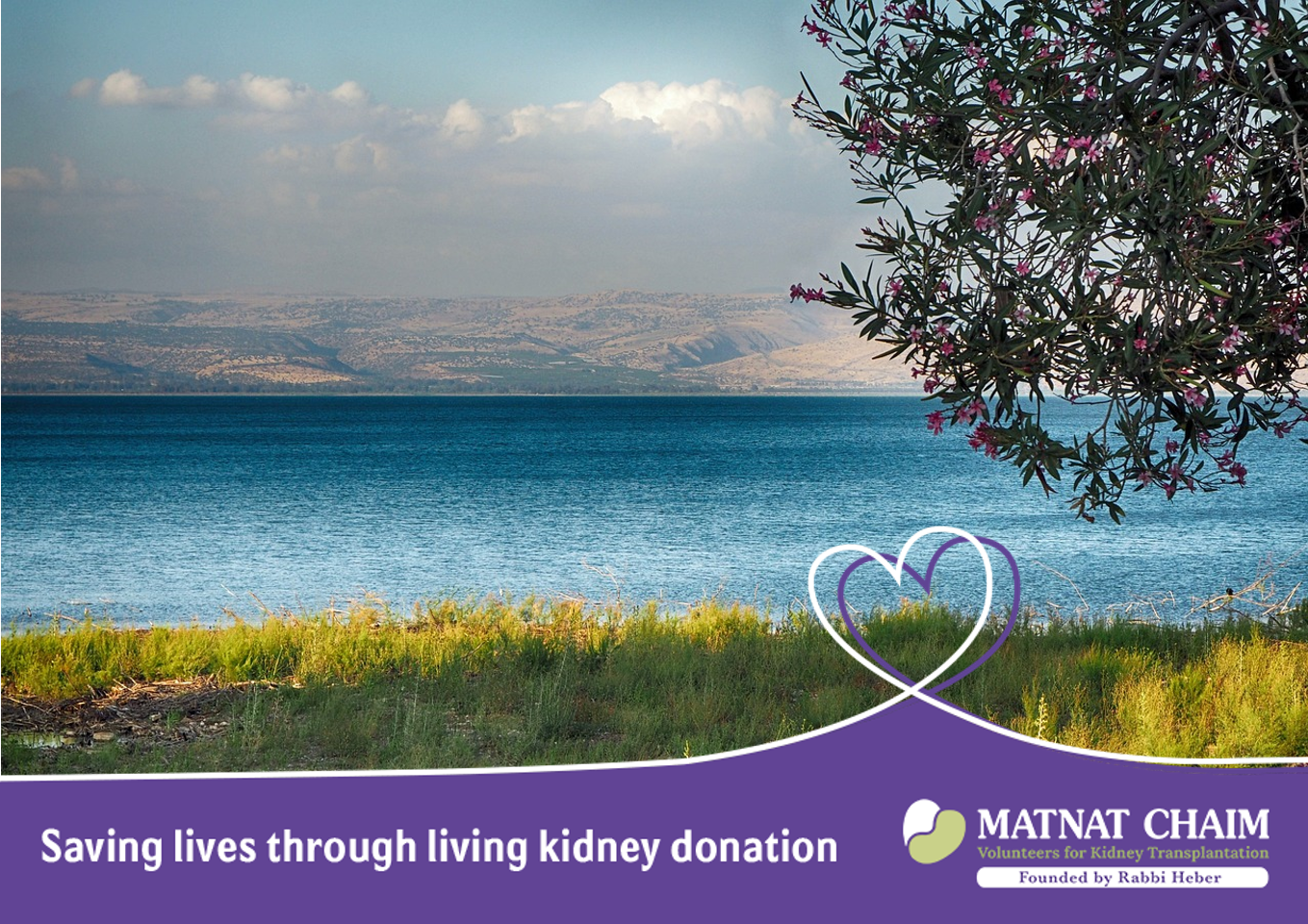Finis... - Matnat Chaim - Altruistic Kidney Donation in Israel