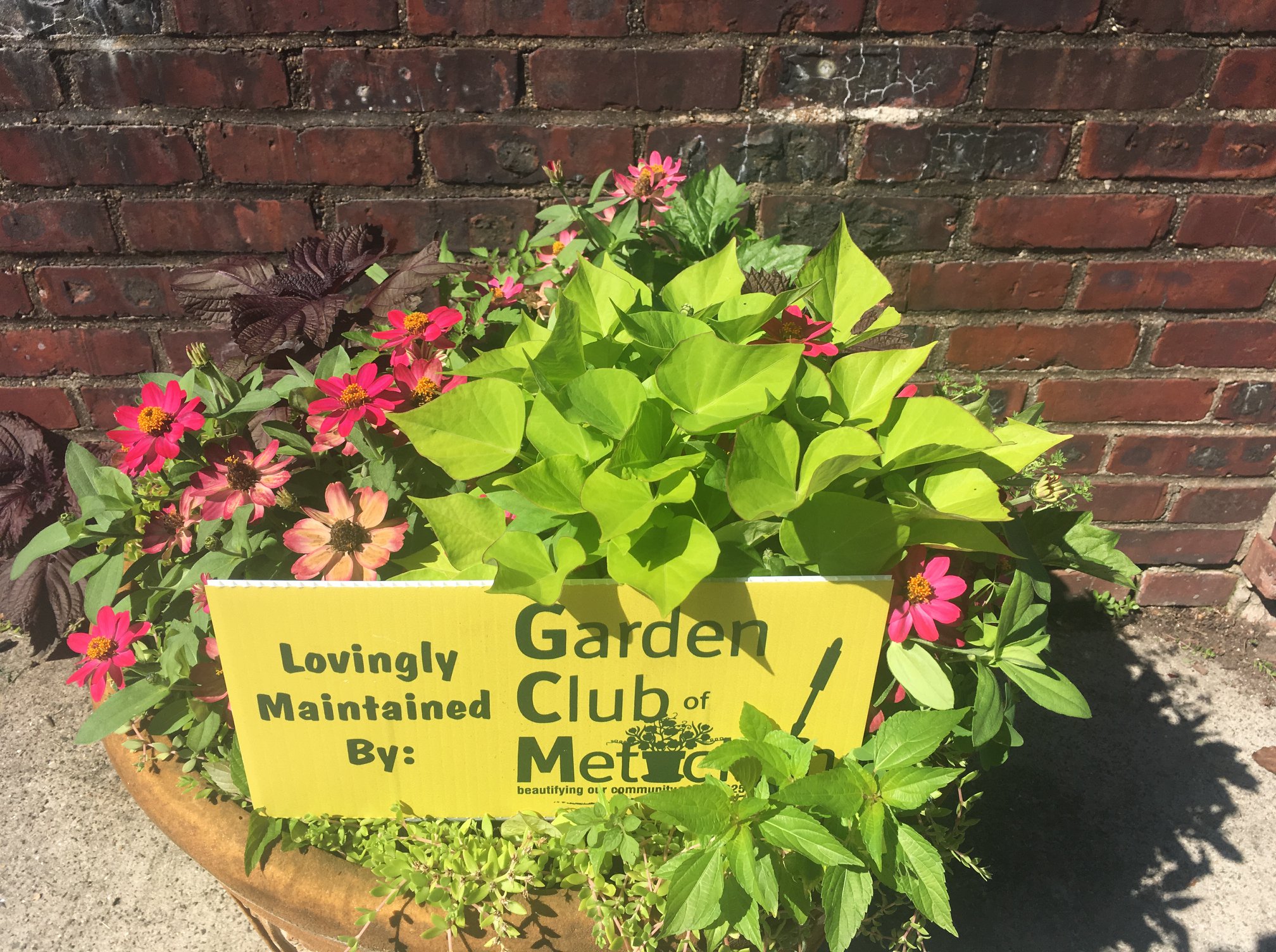 Thanks again to the Garden Club... - Metuchen Public Library