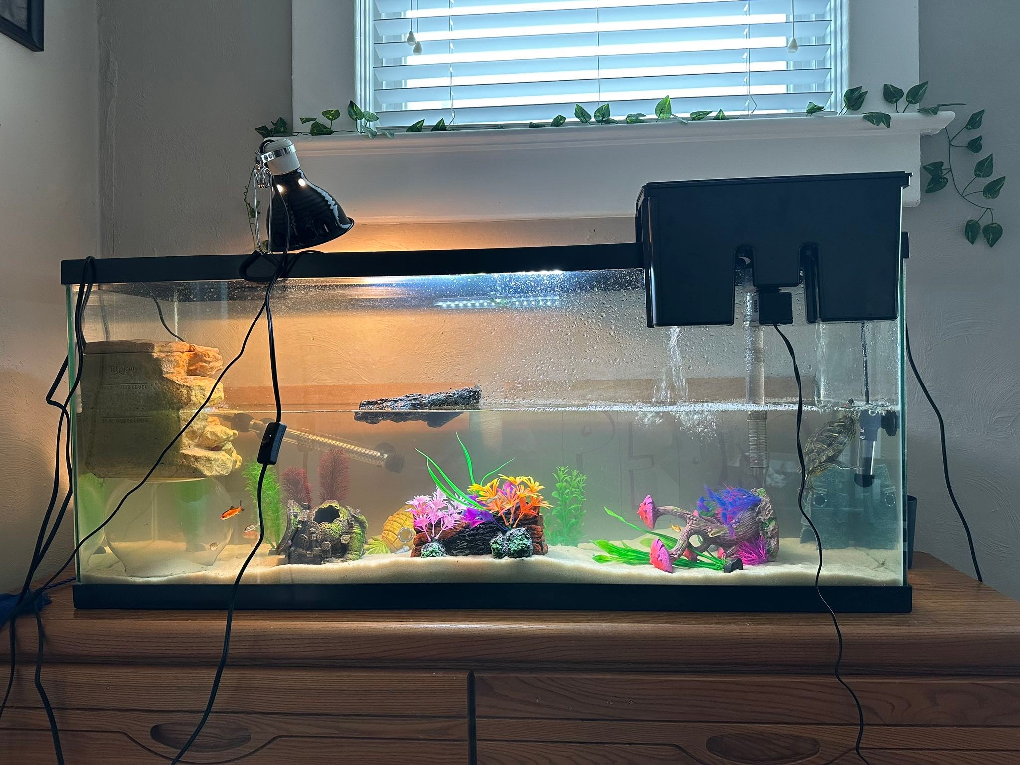 fish tank dresser Welfuturer 10 Gallon Aquarium Stand with 2-Tier Shelf Tanks Stand with 2 Drawers Metal Frame Heavy Duty Reptile TurtleTank Stand with Storage for Home Offic Fish Accessories Storage This 75 Will my dresser work as