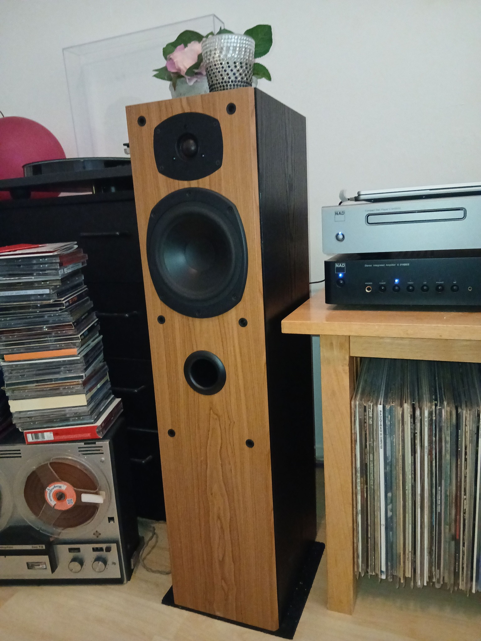 I bought tannoy mercury m3, they sound fantastic