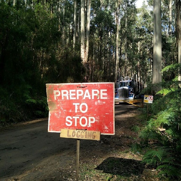 Stop Overdevelopment of the Tweed