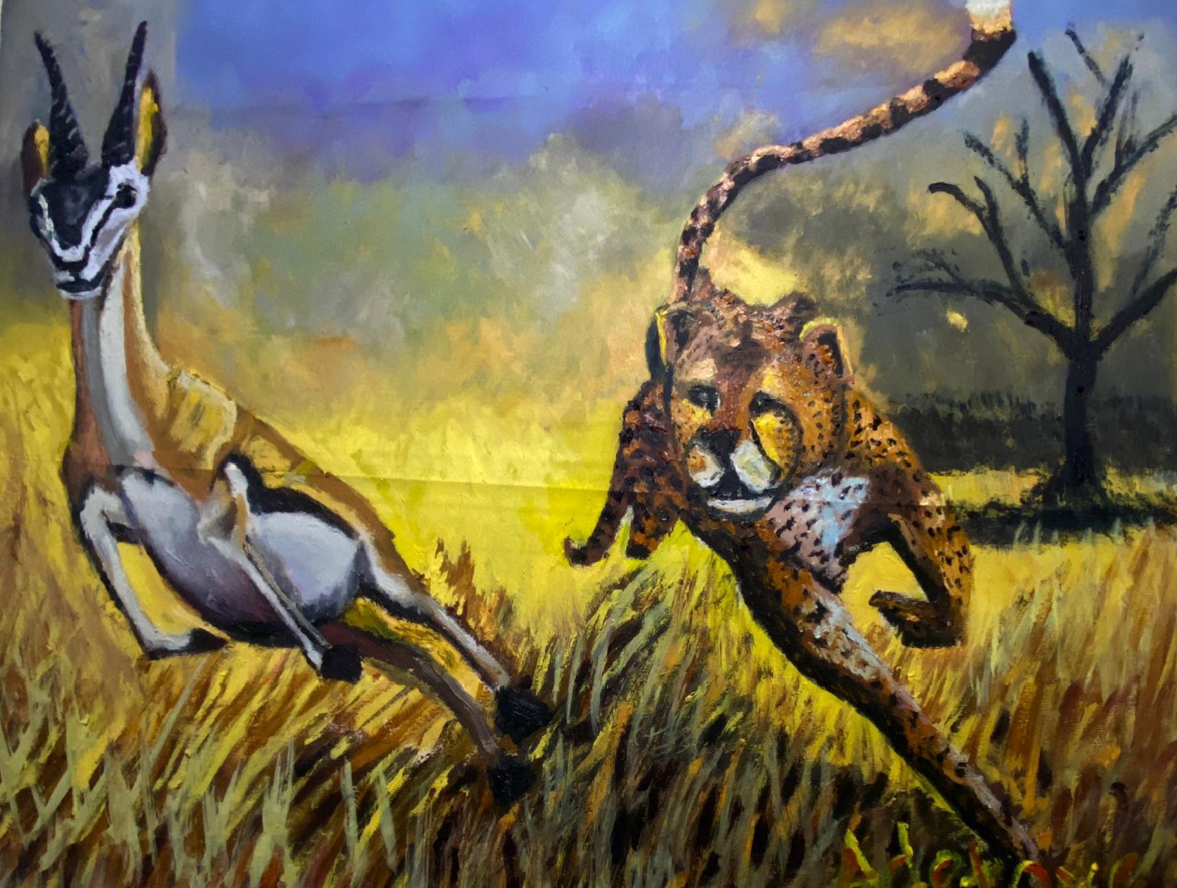 Cheetah chasing gazelle in savannah oil painting