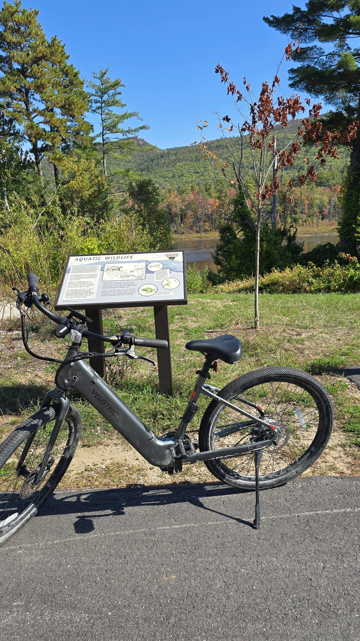 electric bicycles new hampshire Windhorse W2B White / 3-Speed Mode Equipped with a removable 288Wh battery Understanding New Hampshire E-Bike Laws
