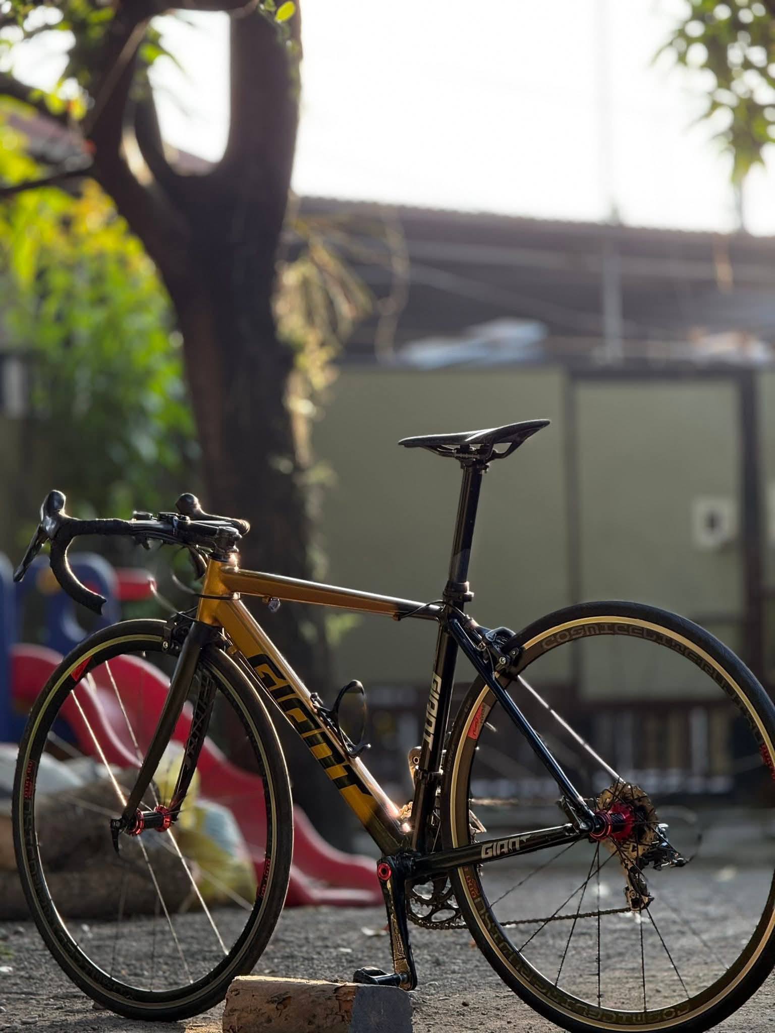 Information about the Giant RX 500 with SR Edge groupset