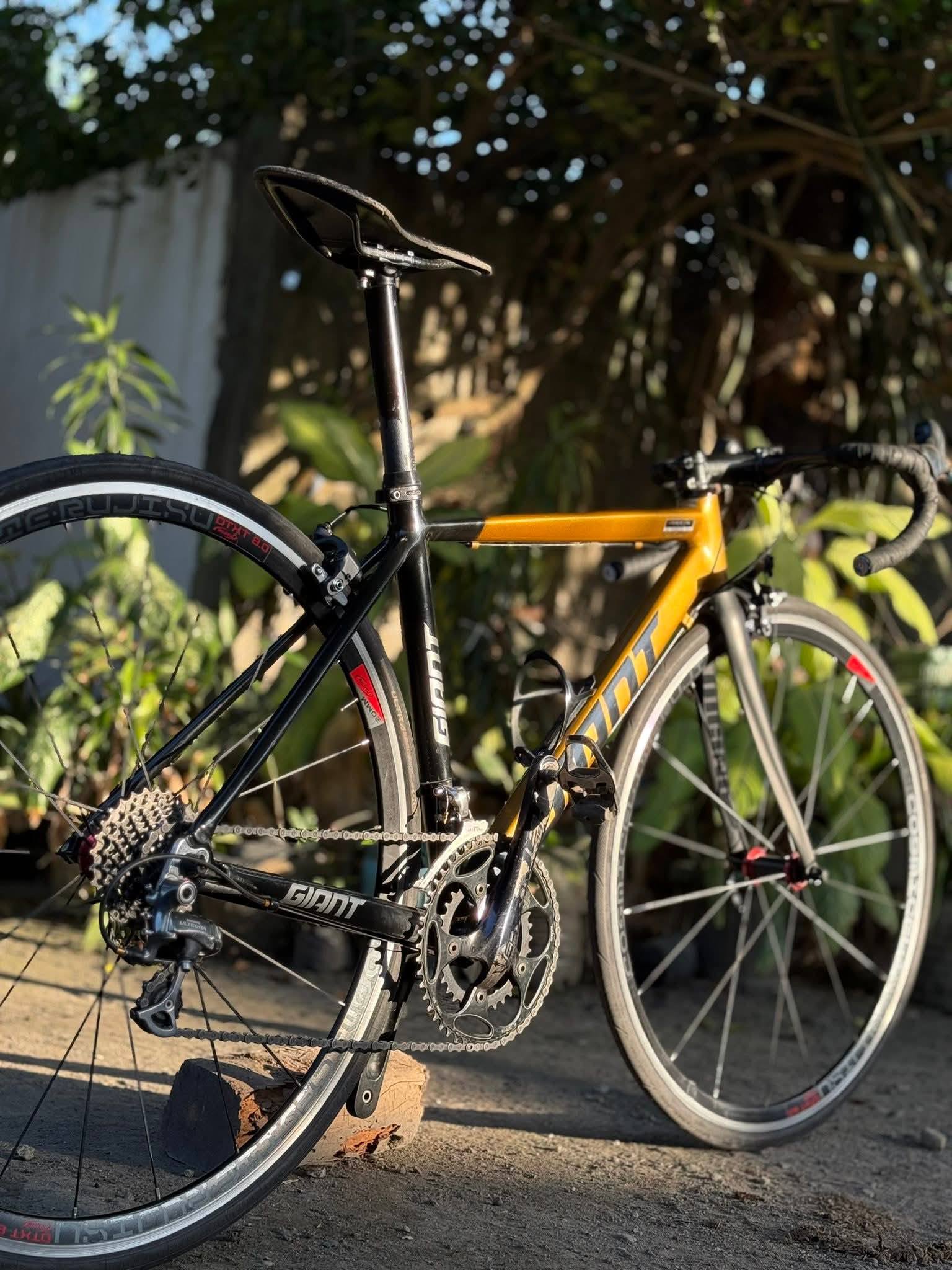 Information about the Giant RX 500 with SR Edge groupset