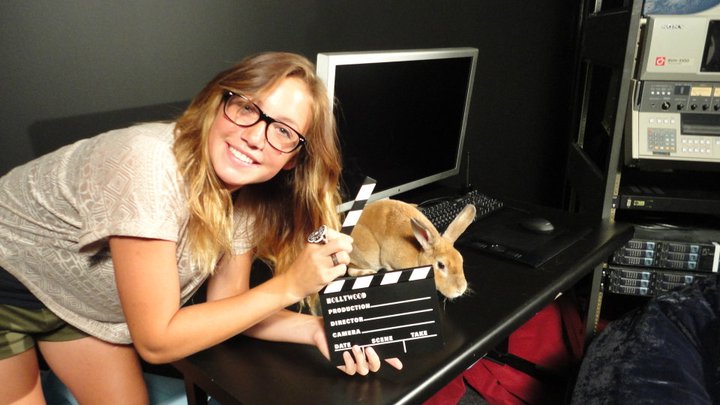 Adele: the agility rabbit